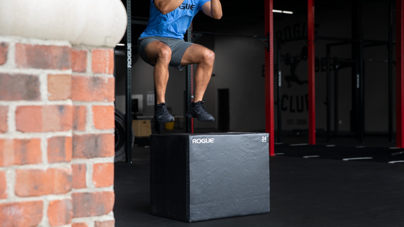 Rogue plyo sales box foam